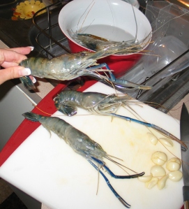 Collosal blue prawns